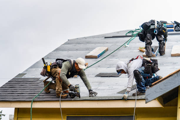 Professional Roof Inspection technician working in Elmont, NY